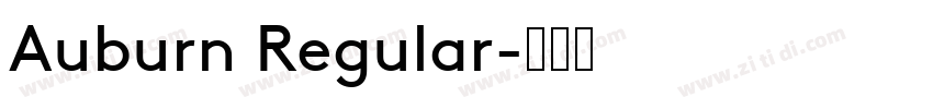 Auburn Regular字体转换